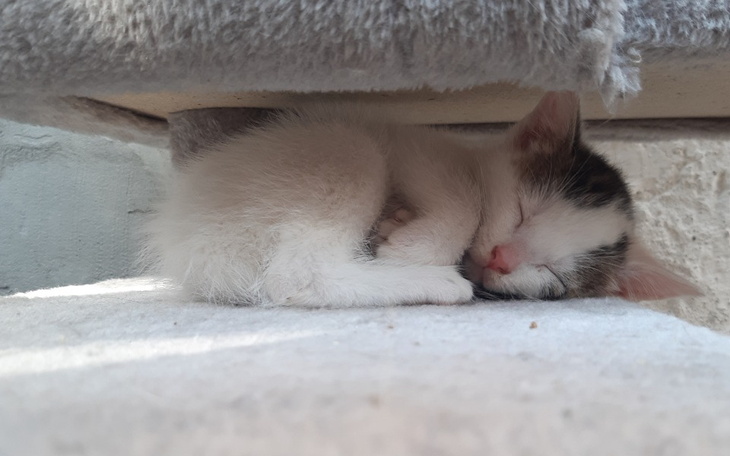 Zbiórka Byśmy mogli pomagać - zdjęcie główne