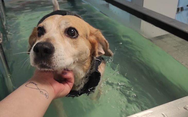 Zbiórka Emka na 2gi zabieg TTA RAPID - zdjęcie główne