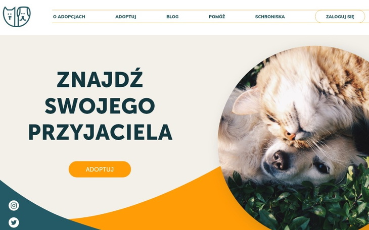 Zbiórka eAdopcje - portal adopcyjny - zdjęcie główne