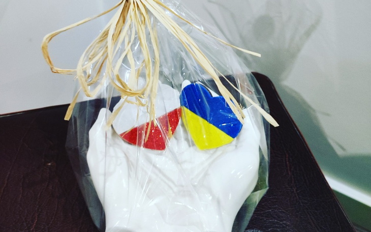 Zbiórka Pomagamy Irynie - zdjęcie główne