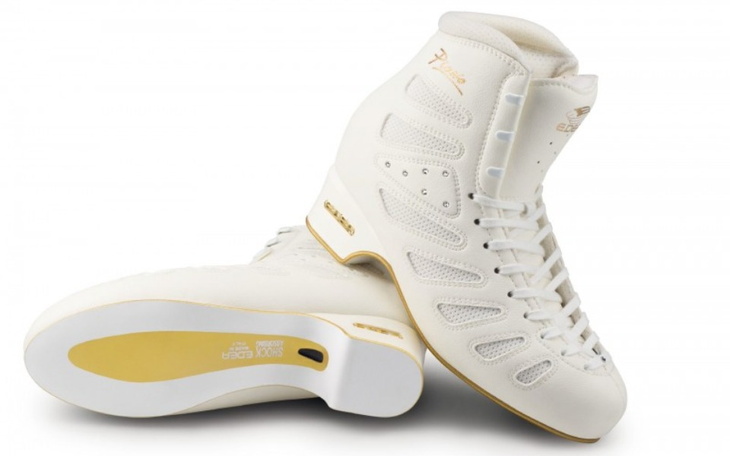 Zbiórka Moje łyżwiarskie marzenie - zdjęcie główne