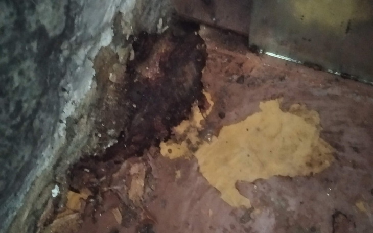 Zbiórka Nie chcę być bezdomna - zdjęcie główne