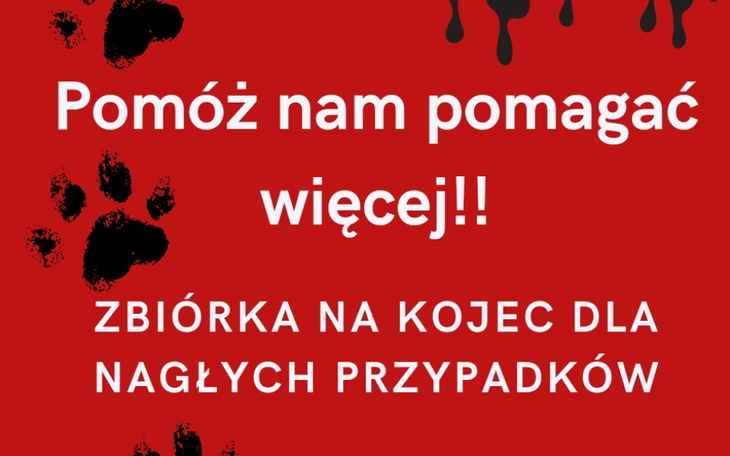 Zbiórka Kojec na nagłe przypadki - zdjęcie główne