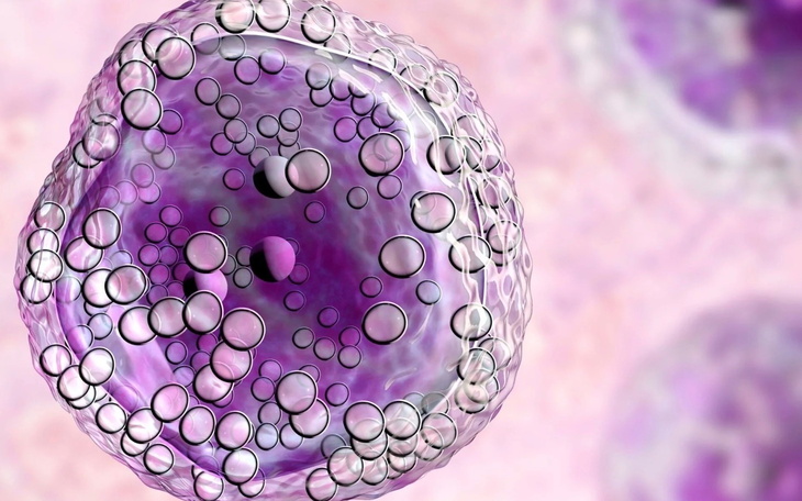 Mikroskopijne komórki w kolorze fioletowym.