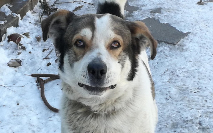 Zbiórka Samotny i niechciany... - zdjęcie główne