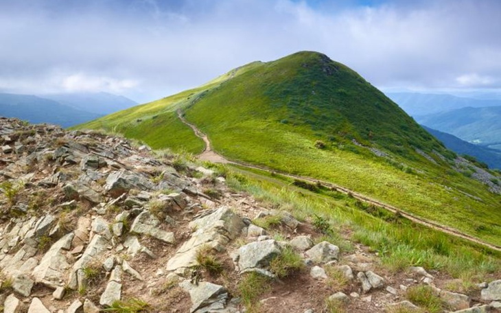 Zbiórka Marzenie wspólnego wyjazdu - zdjęcie główne