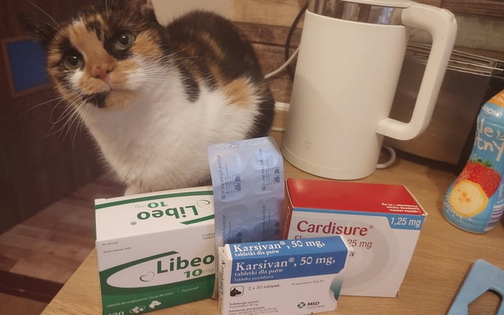 Zbiórka Walka Misi o lepsze jutro. - zdjęcie główne