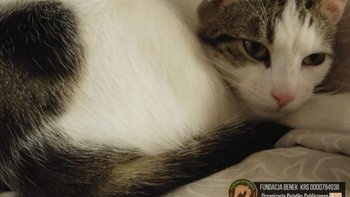 Zbiórka Pilna pomoc dla chorego Wojtusia - miniaturka zdjęcia