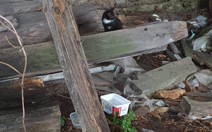 Zbiórka Co dalej... - zdjęcie główne