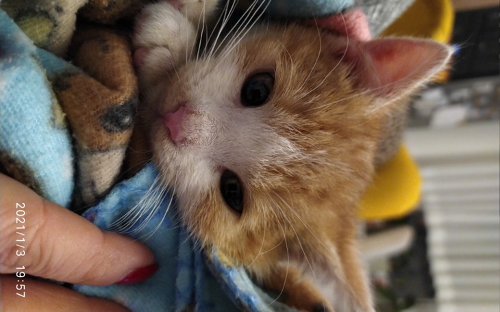 Zbiórka Pomoc dla Kazika Rudzika - zdjęcie główne