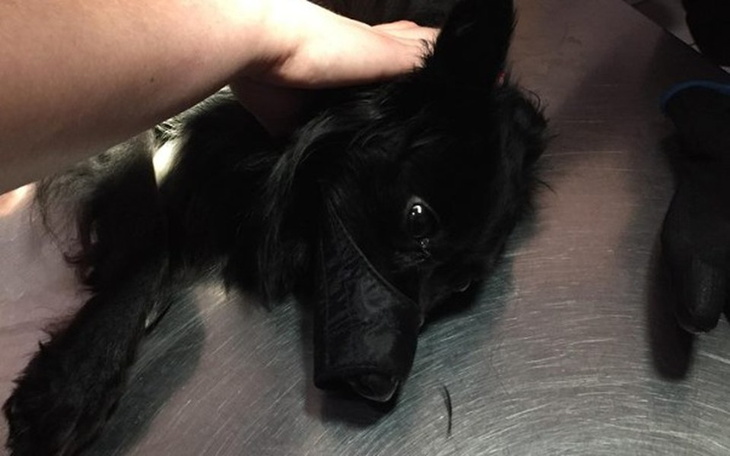 Zbiórka Od kilku miesięcy nie wychodziła - zdjęcie główne