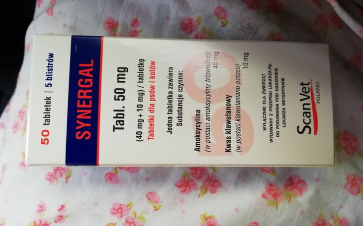 Zbiórka Pomoc dla Pani Martyny - zdjęcie główne