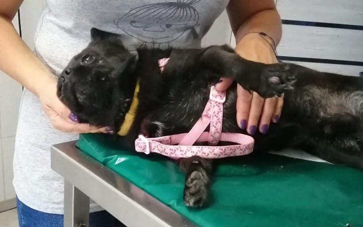 Zbiórka Paraliż potrzebny rezonans - zdjęcie główne