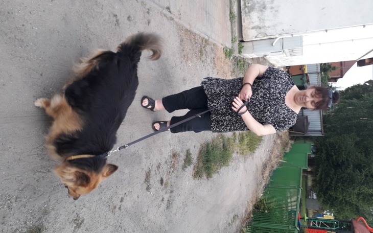 Zbiórka Leczenie i karmienie bezdomnych - zdjęcie główne