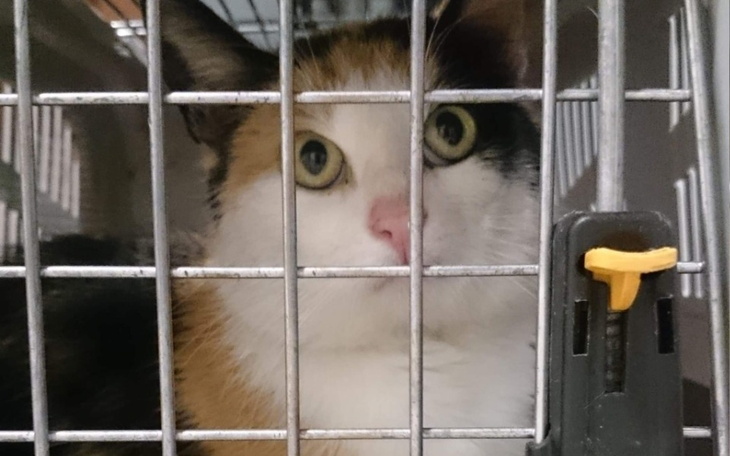 Zbiórka Szansa na drugie życie... - zdjęcie główne