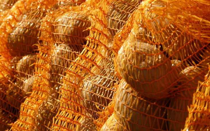 Zbiórka Zawieszone ziemniaki 6. transpo - zdjęcie główne