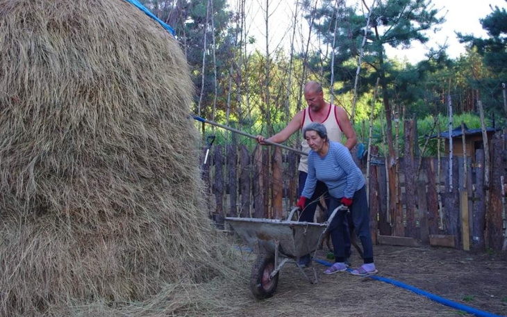 Zbiórka MARZENIE o BUSIE - zdjęcie główne