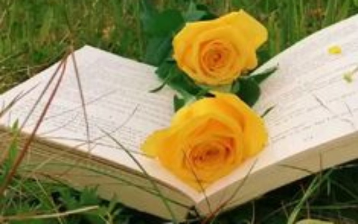 Zbiórka Świat potrzebuje poetów... - zdjęcie główne