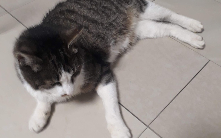 Zbiórka Dla Edzia - zdjęcie główne