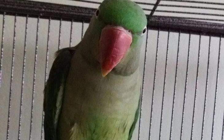 Zbiórka Na rozwój przytuliska - zdjęcie główne