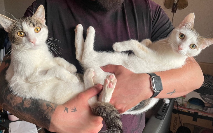 Zbiórka Pomoc dla Vita i Bambiego - zdjęcie główne