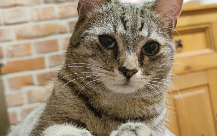 Zbiórka Na przetrwanie maja - zdjęcie główne