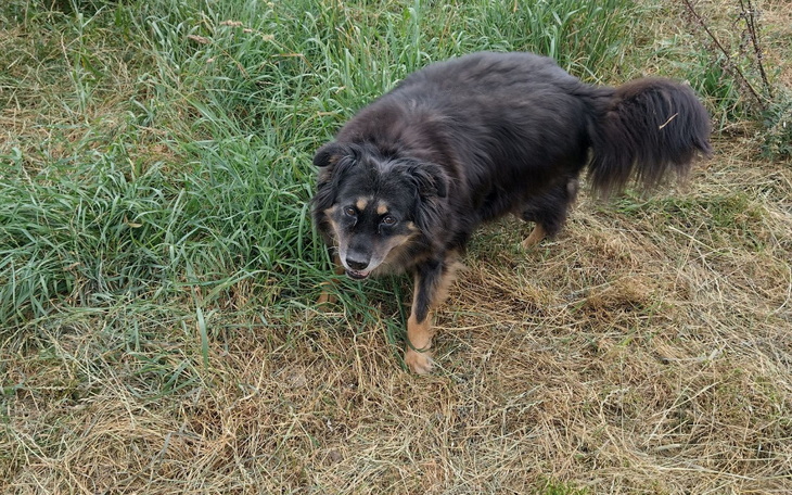 Zbiórka Hotelik dla Marcela - zdjęcie główne