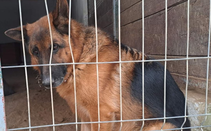 Zbiórka Na rehabilitację Borysa - zdjęcie główne