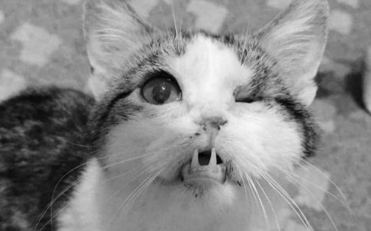 Zbiórka Jesteśmy na dnie.. Stefan pomaga - zdjęcie główne