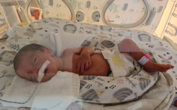 Zbiórka Walka o mieszkanie dla dzieci - zdjęcie główne