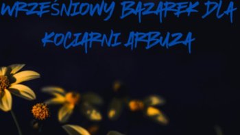 Zbiórka Wrześniowy bazarek dla ArbuZa - miniaturka zdjęcia
