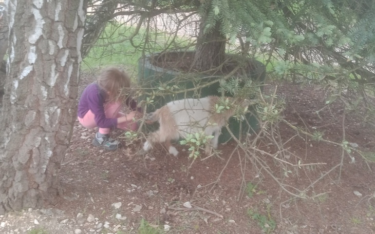 Zbiórka Na leczenie i opłaty - zdjęcie główne