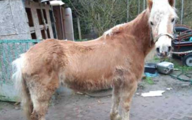 Zbiórka Ja też chce żyć - zdjęcie główne