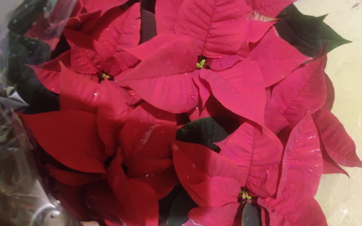 Zbiórka Chciałabym pomóc pewnej rodzinie - zdjęcie główne