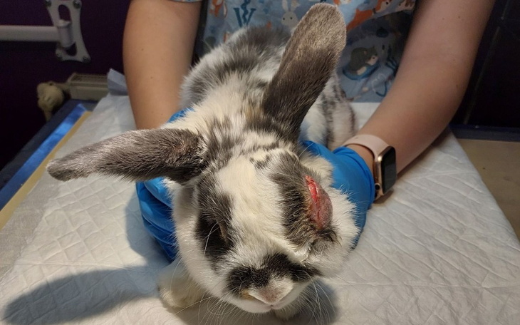 Zbiórka Ile warte jest życie - zdjęcie główne