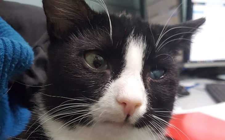 Zbiórka Anemia - Krew jak woda... - zdjęcie główne