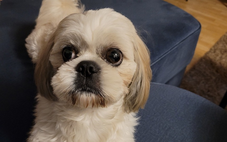 Zbiórka Operacja Bonia- Dyskopatia - zdjęcie główne