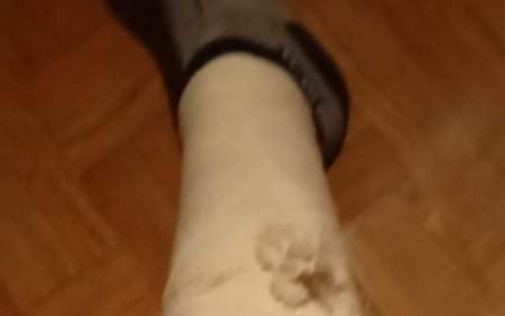 Zbiórka Pomoc na wózek inwalidzki - zdjęcie główne