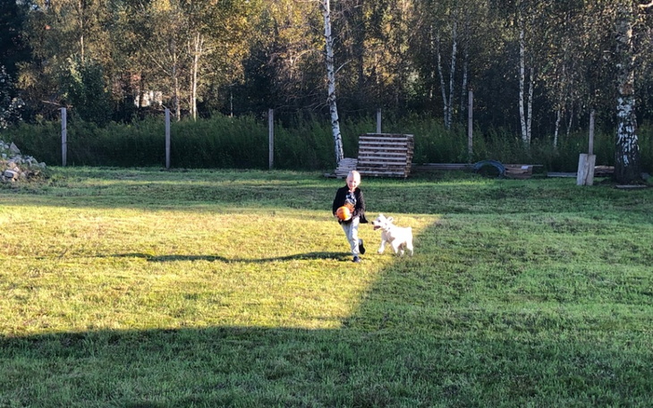 Zbiórka Domek dla Rodzinki - zdjęcie główne