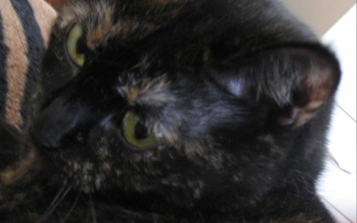 Zbiórka KONIEC ZBIÓRKI dla Marty. - zdjęcie główne