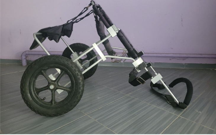 Zbiórka Wózek dla Mikołaja - zdjęcie główne