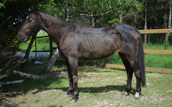 Zbiórka Ona potrzebuje wsparcia 1 dzień - zdjęcie główne
