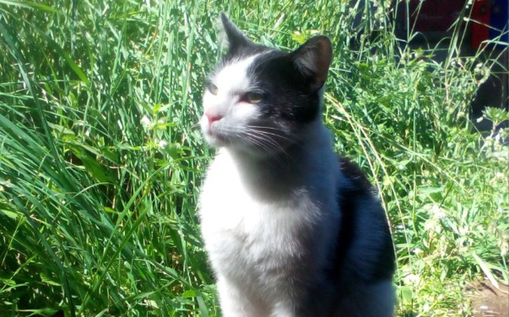 Zbiórka Dżej,ten co uciekł śmierci. - zdjęcie główne