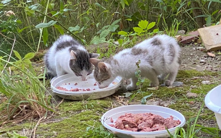 Zbiórka Aby zdążyć z pomocą - zdjęcie główne