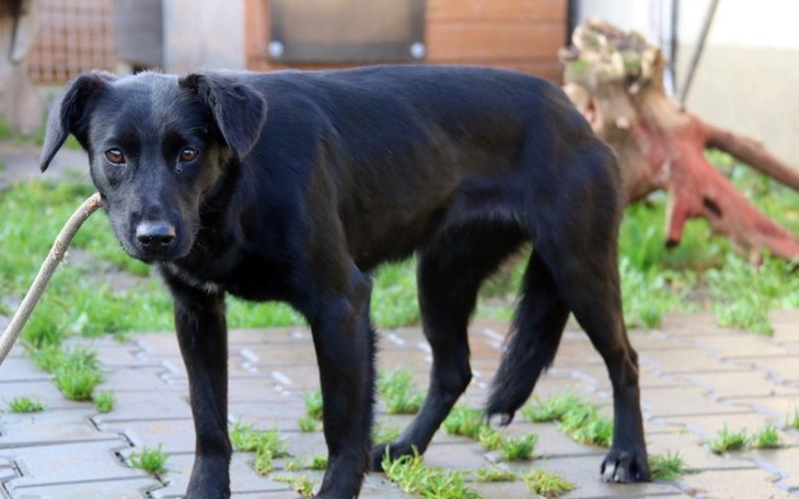 Zbiórka OperacjaDyskopatii - zdjęcie główne