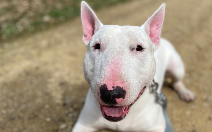 Zbiórka Wsparcie Antka - zdjęcie główne