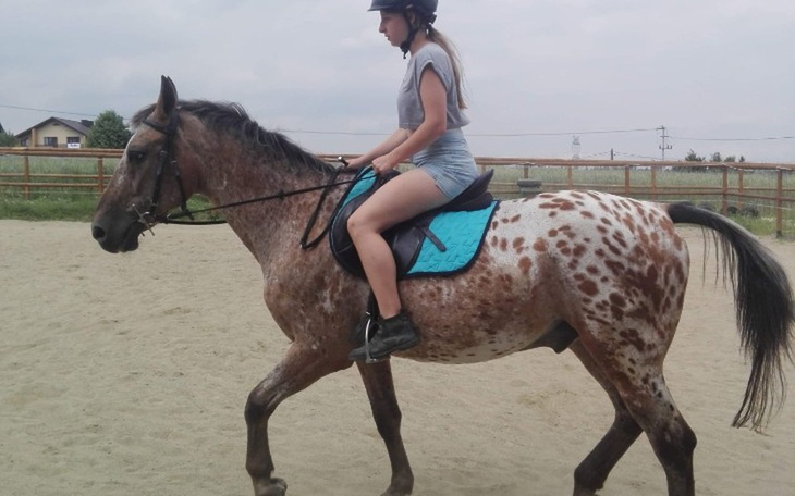 Zbiórka Pomóż mi spełnić moje marzenie - zdjęcie główne