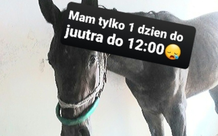 Zbiórka Młode życie prosi o pomoc . - zdjęcie główne