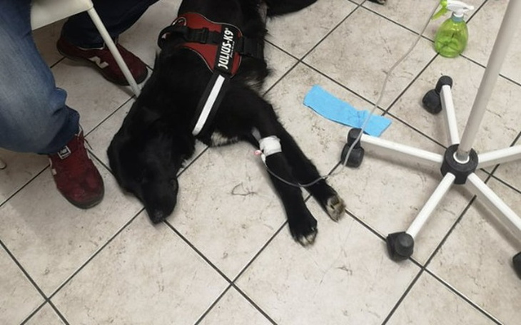 Zbiórka Ratujmy Lokę - zdjęcie główne