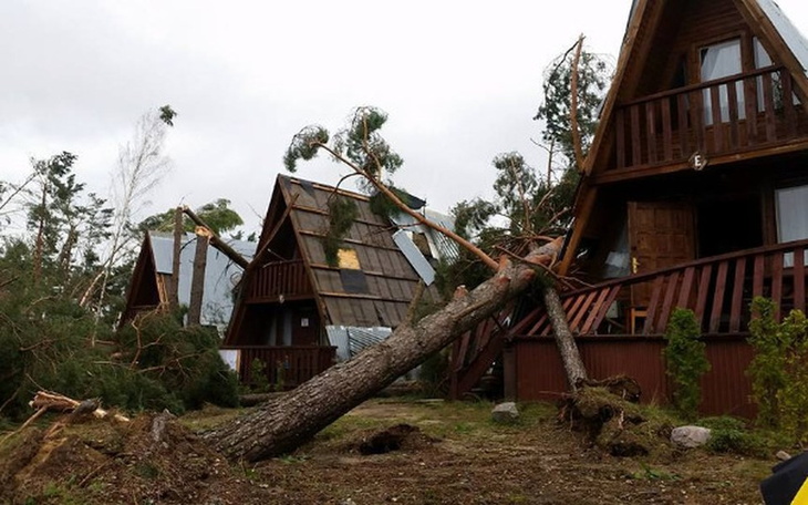 Zbiórka Odbudowa Ośrodka "Kaszubski Bór" - zdjęcie główne